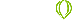 Siel